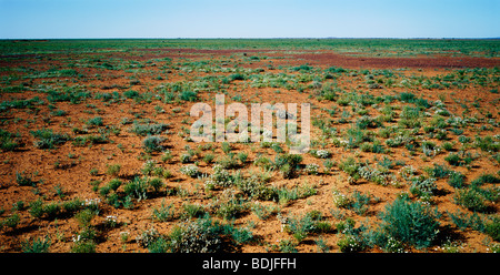 Paysage, plaines ouvertes, de l'Australie Banque D'Images