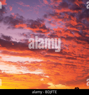 Coucher de soleil, nuages Banque D'Images