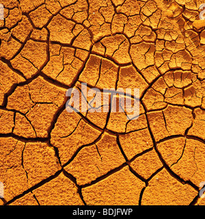 Dry Cracked Earth Banque D'Images