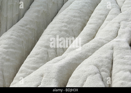 Formation de White Rock, Grand Staircase Escalante National Monument, Utah, USA Banque D'Images