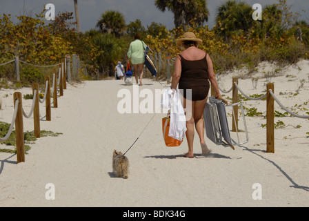 Femme mature et de chien sur le chemin de la plage en Floride. Banque D'Images