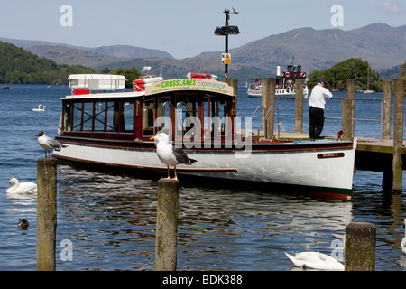 Muriel 2 Crosslakes & passager Expérience cross Lake Windermere ferry location de Bowness à Far Sawrey Banque D'Images