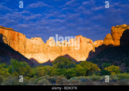 Aube lumière sur les tours de la Vierge, Zion National Park, Utah Banque D'Images