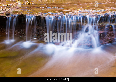 Cascade le long du côté gauche de la fourche de North Creek, Zion National Park, Utah Banque D'Images