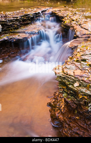 Cascade le long du côté gauche de la fourche de North Creek, Zion National Park, Utah Banque D'Images