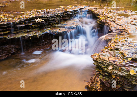 Cascade le long du côté gauche de la fourche de North Creek, Zion National Park, Utah Banque D'Images