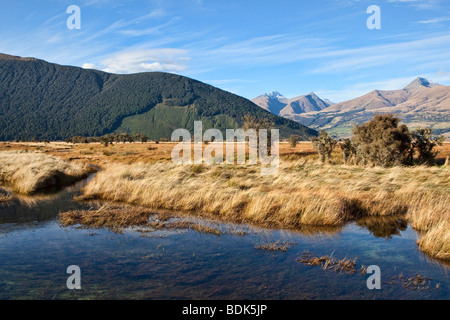 De superbes paysages naturels près de Glenorchy, Nouvelle-Zélande Banque D'Images