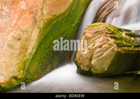 Stream ci-dessous la Paroi en pleurs, Zion National Park, Utah Banque D'Images