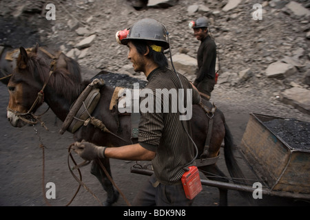 Domaine DU CHARBON WUDA, WU HAI, Mongolie intérieure, CHINE - AOÛT 2007 : les mineurs de mine privée illégale l'utilisation de mules pour transporter leur charbon. Banque D'Images