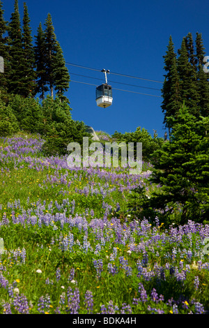 Whistler Village Gondola, le mont Whistler, Whistler, British Columbia, Canada. Banque D'Images