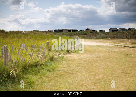 Dunes de sable Walberswick, Suffolk, Angleterre, Royaume-Uni. Banque D'Images
