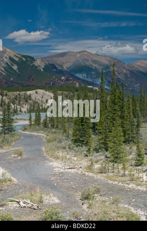 Brûlage dirigé dans le Parc National de Jasper, Canada Banque D'Images