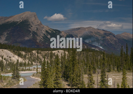 Un brûlage dirigé de forêt dans le parc national Jasper, Alberta, Canada Banque D'Images