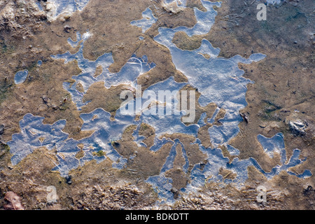 Des bulles d'air prise dans les cavités sous la surface de glace au bord d'un étang gelé. L'hiver. Banque D'Images