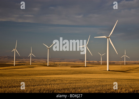 'Éoliennes wind farm' opérant dans le champ de blé moissonné. Banque D'Images