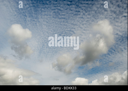 L'Altocumulus undulatus nuages Banque D'Images