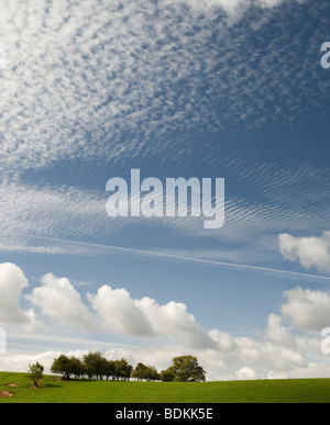 Shropshire Rural campagne près de Ludlow, vert gazon, arbres et ciel nuageux ciel d'été bleu Banque D'Images