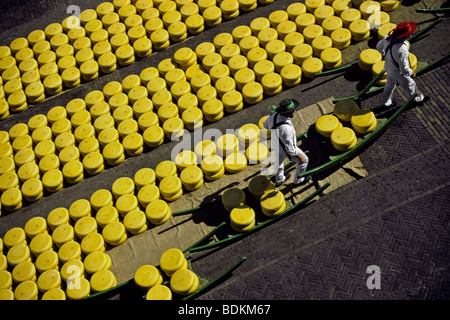 Pays-bas, Alkmaar, d'un grand angle de vue, les hommes exerçant son fromage, le marché aux fromages d'Alkmaar Banque D'Images