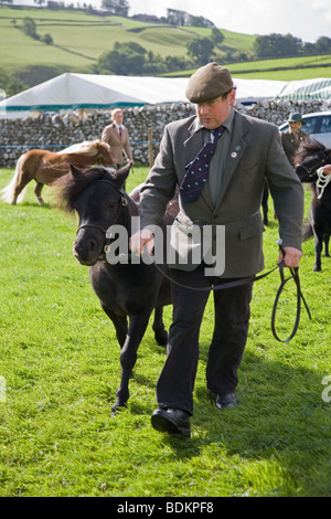 Poneys Shetland menée autour de l'arène, par leurs propriétaires, au Salon de l'agriculture, Malhamdale Malham, Yorkshire Dales Banque D'Images