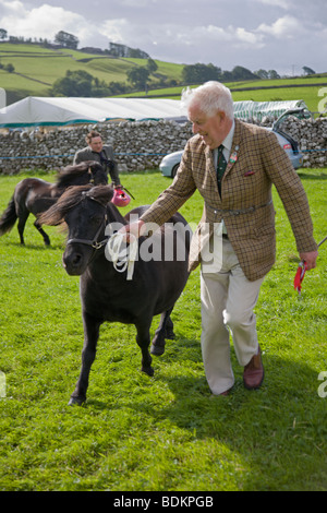 Poneys Shetland menée autour de l'arène, par leurs propriétaires, au Salon de l'agriculture, Malhamdale Malham, Yorkshire Dales Banque D'Images