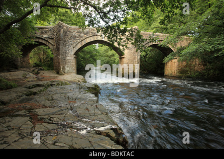 Nouveau pont sur la rivière Dart, près de Holne Woods Dartmoor, Devon, England, UK Banque D'Images