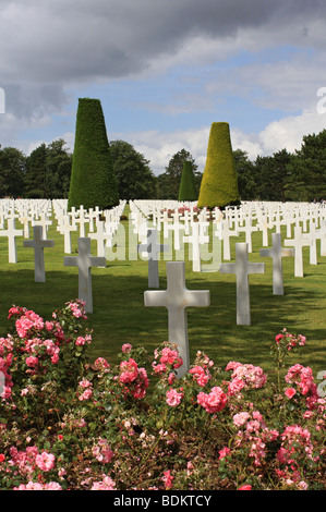 Tombes au cimetière américain, au-dessus d'Omaha Beach à Colleville-sur-Mer, Normandie France Banque D'Images