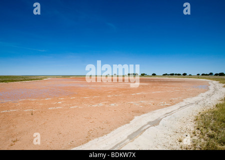 Pan de sel sécher en Namibie Etosha National Park Namutoni Banque D'Images