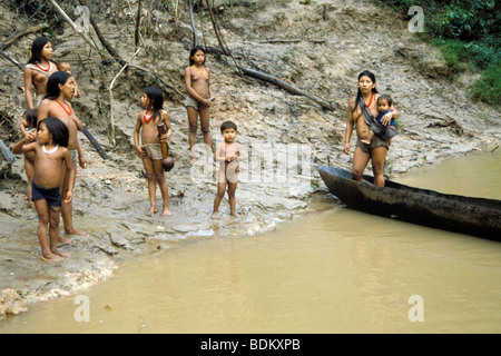 Equateur, amazon Banque D'Images