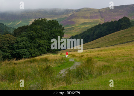 Man Walking dog sur la section pavée du Pennine Way, de Edale jusqu'à Kinder Scout, parc national de Peak, Derbyshire, Angleterre, Royaume-Uni Banque D'Images