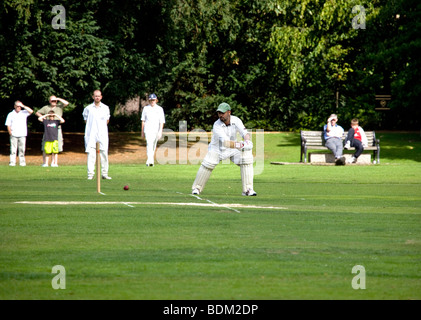 Jouer au cricket dans le parc Chiswick House Londres Banque D'Images