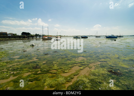 Emsworth Harbour avec des algues du littoral en eau peu profonde d'une jetée et quelques bateaux Banque D'Images