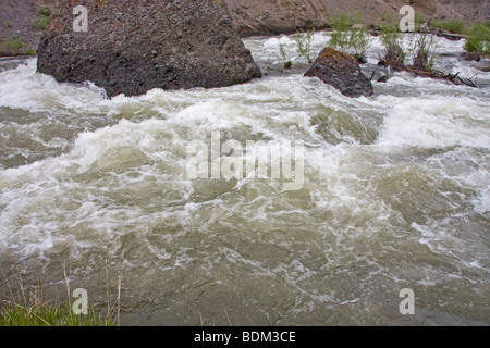 Les eaux de crue de la rivière Gardner, Montana, USA Banque D'Images