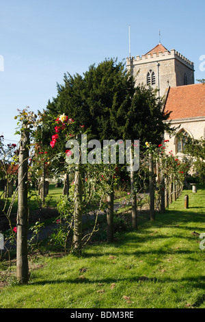 [Abbaye de Dorchester], 'Dorchester on Thames, Oxfordshire, England, UK Banque D'Images