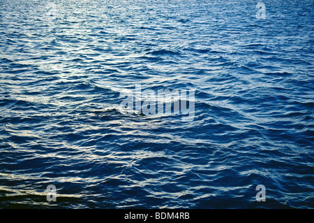 La lumière réfléchie sur la surface de l'eau Banque D'Images