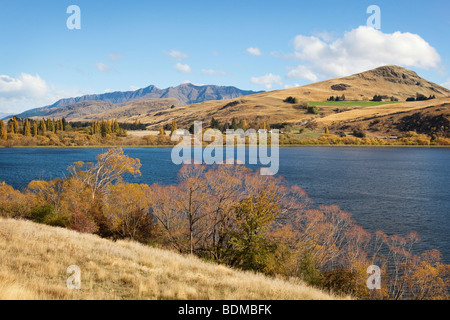 De superbes paysages naturels près de Queenstown, Nouvelle-Zélande Banque D'Images