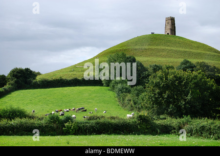 Vue lointaine sur les champs de Tor de Glastonbury, Somerset England United Kingdom Banque D'Images