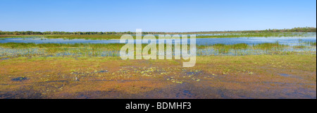 Mamukala Wetlands dans le Kakadu National Park, Territoire du Nord, Australie Banque D'Images