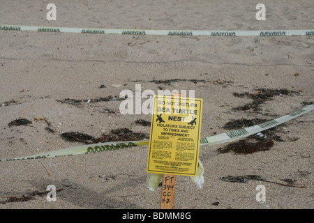 Les nids de tortues de mer menacées sont protégées par des formalités administratives et signer en haut et en bas les plages de Fort Lauderdale, à la fin de l'été 2009. Banque D'Images