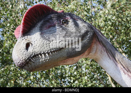 Dilophosaurus, parc préhistorique, réplique taille réelle, Nowiny), Pologne 2009 Banque D'Images