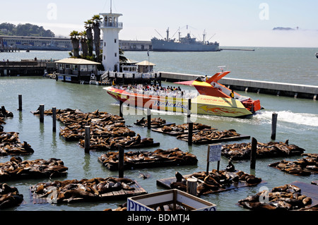 Croisières touristiques en hors-bord des basques au Pier 39, Fisherman's Wharf, San Francisco Banque D'Images