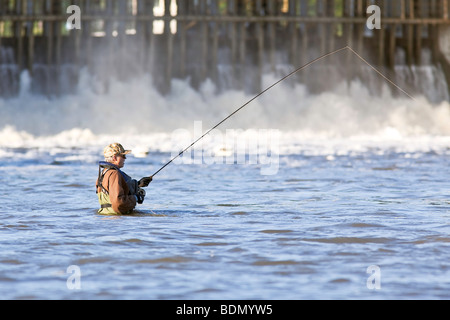L'homme Pêche à la mouche dans la rivière Rouge, en aval du barrage de Lockport, Lockport, au Manitoba, Canada. Banque D'Images