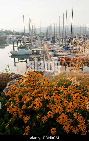 Squalicum port et marina est situé sur la rive nord de Bellingham Bay dans la ville de Bellingham, Washington, USA. Banque D'Images