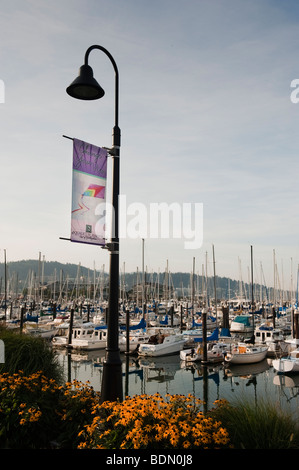 Squalicum port et marina est situé sur la rive nord de Bellingham Bay dans la ville de Bellingham, Washington, USA. Banque D'Images