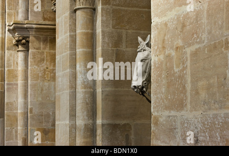 Bamberg, Dom, Das Pferd des Bamberger Reiters Hinter der lugt Säule vor Banque D'Images