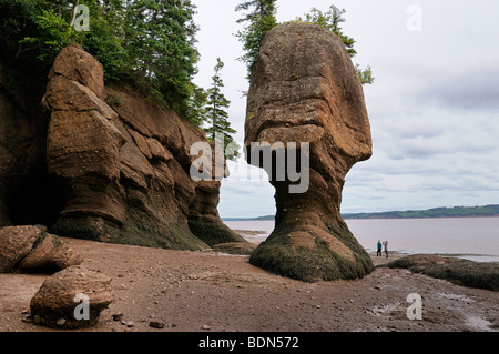 Deux touristes à la mère à la mer pot de fleur à la pile de rochers de Hopewell Baie de Fundy Nouveau-Brunswick Canada Banque D'Images