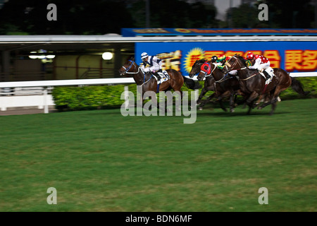 Les chevaux galopant vers la finale au cours d'une nuit de l'événement de course de chevaux à l'hippodrome Happy Valley à Hong Kong. Banque D'Images