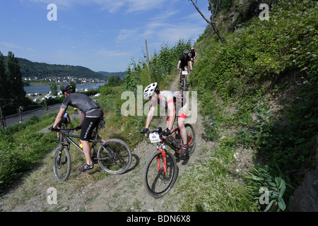 Course de VTT dans les vignes à Boppard, Rhénanie-Palatinat, Allemagne, Europe Banque D'Images