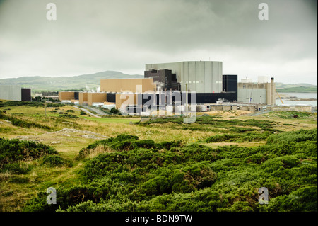 La centrale nucléaire atomique Wylfa, sur la côte nord d'Anglesey, dans le nord du Pays de Galles UK Banque D'Images