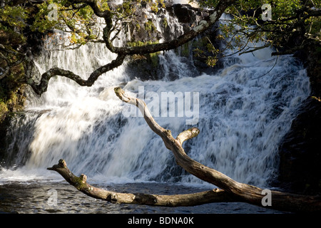 Cascades près de Ballygown Fors Eas sur l'île de Mull, Ecosse, Royaume-Uni. Banque D'Images