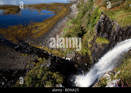 Cascades près de Ballygown Fors Eas sur l'île de Mull, Ecosse, Royaume-Uni. Banque D'Images